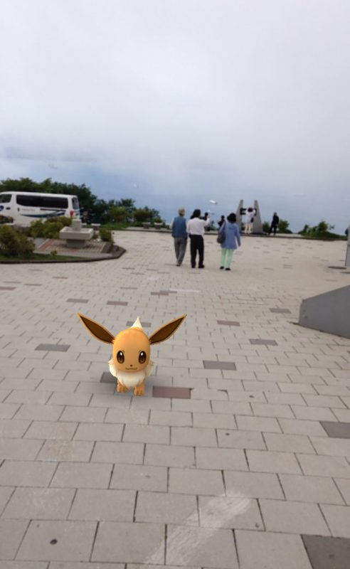 相性抜群 函館でポケモンgoを遊び倒す 仮 函館ネタブログ By E Hakodate