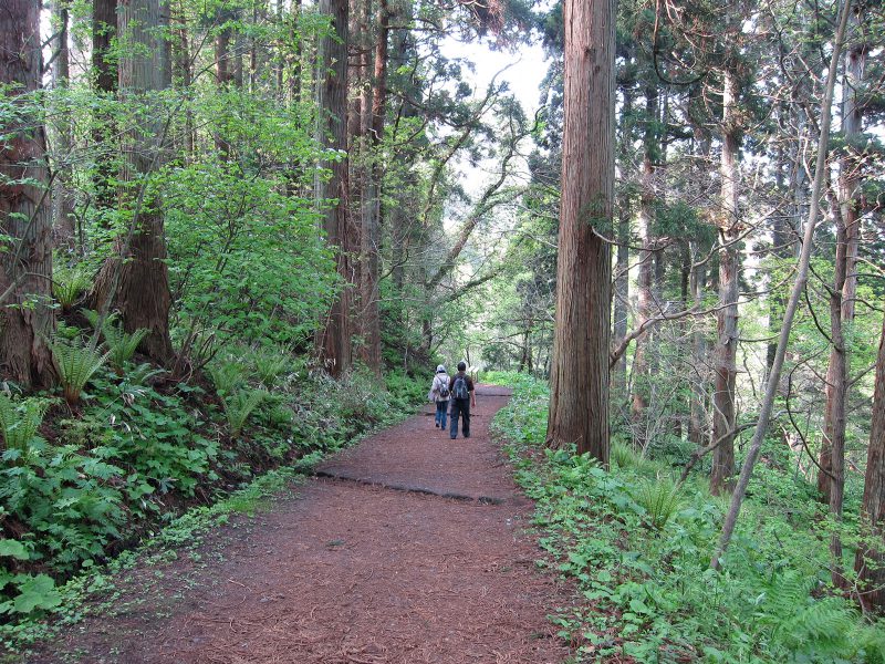 冬期に函館山ロープウェイが運休した場合に山頂に行くには 函館ネタブログ By E Hakodate